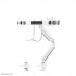 Neomounts NM-D775DXWHITE Monitor arm 10-32