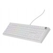 GENESIS THOR 404 keyboard Universal USB QWERTY English White GENESIS THOR 404 keyboard Universal USB QWERTY English White