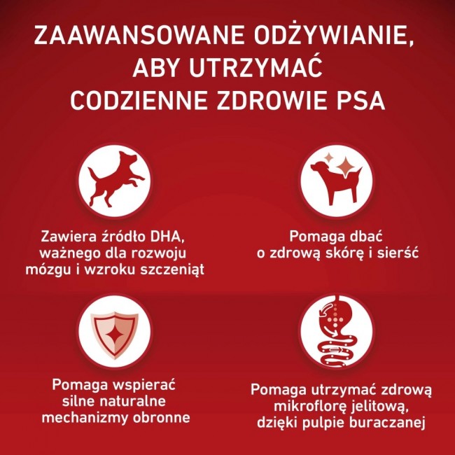 PURINA One Junior Medium/Maxi Rich in chicken with rice - dry dog food - 7kg