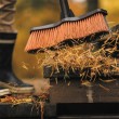 Fiskars 1025921 broom Outdoor Black