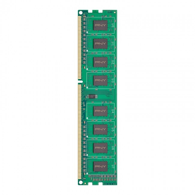 PNY 8GB PC3-12800 1600MHz DDR3 memory module 1 x 8 GB PNY 8GB PC3-12800 1600MHz DDR3 memory module 1 x 8 GB