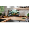 Sharp 24HA1205E TV 61 cm (24