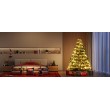 Govee String Lights 2S - 20M