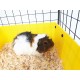 C&C Modular cage 3x2 110x75 cm guinea pig, hedgehog, silver grey