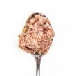 3COTY Chicken - wet cat food - 80g