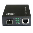 LevelOne RJ45 to SFP+ 10-Gigabit Media Converter