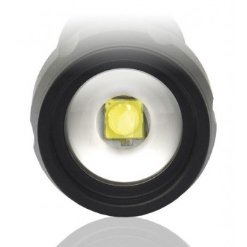 LED flashlight everActive FL-300+