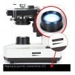 Delta Optical BioStage II Microscope