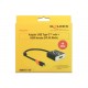 DeLOCK 62730 USB graphics adapter 4096 x 2160 pixels Black