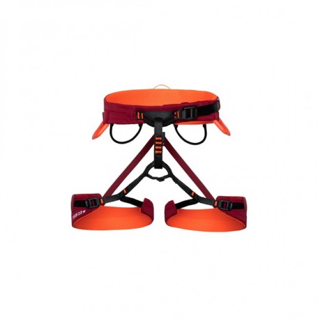 Mammut Togir 2.0
