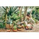 CELLFAST ERGO set with 4-functional hand sprinkler 3/4 CELLFAST ERGO set with 4-functional hand sprinkler 3/4