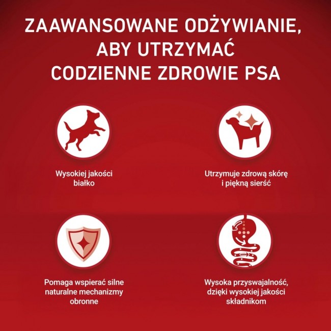 PURINA One Sensitive Mini/Small Salmon with rice - dry dog food - 1,5kg