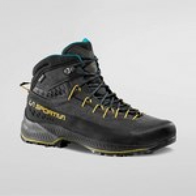 Shoes tx4 evo mid gtx-carbon-bamboo-46,5 LA SPORTIVA