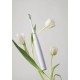 Sonic Toothbrush Oclean Air 2T (white) Sonic Toothbrush Oclean Air 2T (white)