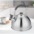 Kettle MAESTRO MR-1323 stainless steel 2.5 l