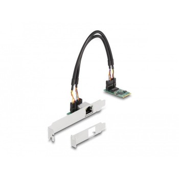 DeLOCK M.2 Key B+M 1 x RJ45 2.5 Gigabit LAN Network Card