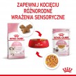 Royal Canin FHN Kitten Instinctive in sauce - wet food for kittens - 12x85g