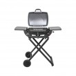 1-burner gas barbecue eesa BBQ 1000 1-burner gas barbecue eesa BBQ 1000