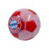 FC BayernMunchen R5 709489 Football