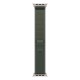 Apple 49mm Green Trail Loop - S/M - Natural Titanium Finish