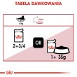 ROYAL CANIN FHN Instinctive - wet pate food for adult cats - 12x 85g