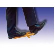 Shoe removal device