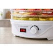 Esperanza EKD003 food dehydrator Transparent, White 250 W