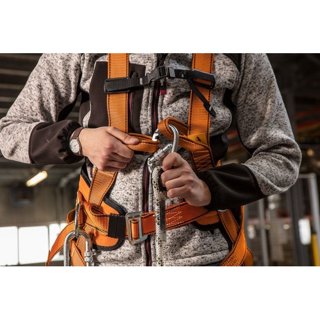 Belay kit with waist belt and shock absorber Belay kit with waist belt and shock absorber