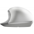 HP 930 Creator Wireless Mouse