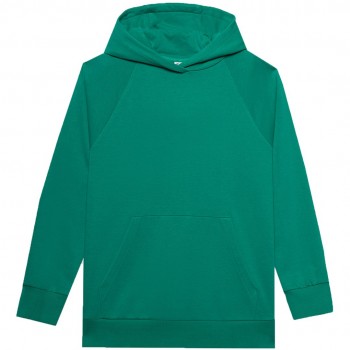 Women's sweatshirt 4F F0955 green 4FWSS24TSWSF0955 41S M