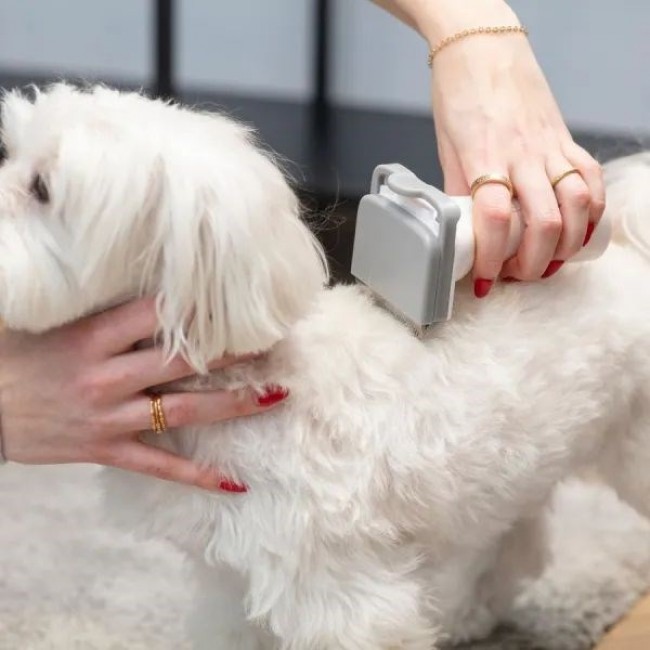 MPM MOD-1000 HOME CARE DEVICE FOR DOGS AND CATS