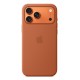 Apple iPhone 17 Pro Max Silicone Case with MagSafe Terra Cotta