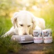 VETEXPERT Raw Paleo Adult Monoprotein Pork - wet dog food - 400 g