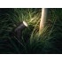 Philips Hue White and colour ambience Lily Outdoor spot light 1741430P7