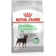 ROYAL CANIN Mini Digestive Care - dry dog food for adult small breeds - 1kg