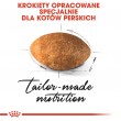 Royal Canin Persian cats dry food 4 kg Adult Maize, Poultry