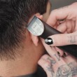 Trimmer WAHL 1591-0466 ChroMini for detaining Trimmer WAHL 1591-0466 ChroMini for detaining