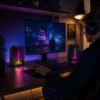 ESPERANZA USB SPEAKERS 2.0 LED RAINBOW FREVO EGS105