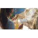 Philips 3000 series STH3020/10 Handheld Steamer Philips 3000 series STH3020/10 Handheld Steamer