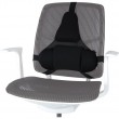 Fellowes Ergonomics professional back support pillow Fellowes Ergonomics professional back support pillow