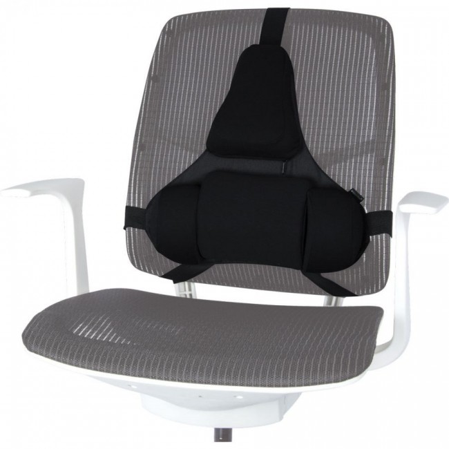 Fellowes Ergonomics professional back support pillow Fellowes Ergonomics professional back support pillow