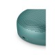 Bang & Olufsen BeoSound A1 3rd Gen Stereo portable speaker Green 60 W