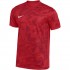 Koszulka męska Nike Dri-Fit Precision VII czerwona FZ9332 657 L