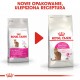 Royal Canin Savour Exigent 35/30 dry cat food Adult Maize,Poultry,Rice,Vegetable 2 kg