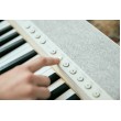 Casio CT-S1 Digital synthesizer 61 White Casio CT-S1 Digital synthesizer 61 White