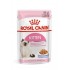 Royal Canin FHN Kitten Instinctive in sauce - wet food for kittens - 12x85g