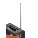 Bluetooth speaker Camry CR 1902B