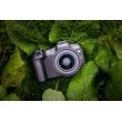 Canon EOS R8 + RF 24-50mm F4.5-6.3 IS STM Kit MILC 24.2 MP CMOS 6000 x 4000 pixels Black