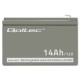 Qoltec 53045 AGM battery | 12V | 14Ah Qoltec 53045 AGM battery | 12V | 14Ah
