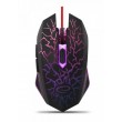 Esperanza EGM211R mouse Right-hand USB Type-A Optical 2400 DPI Esperanza EGM211R mouse Right-hand USB Type-A Optical 2400 DPI